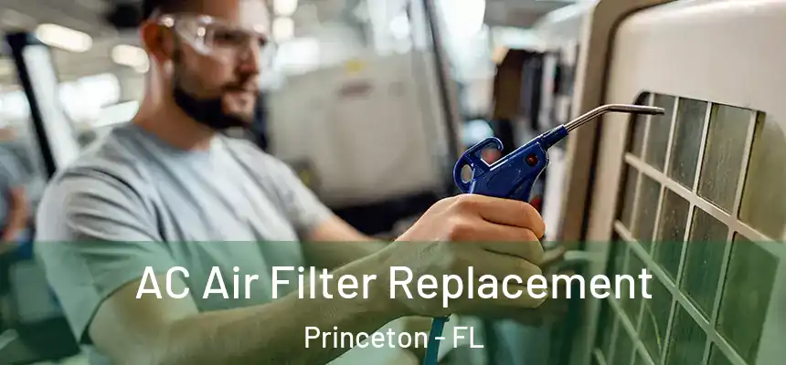  AC Air Filter Replacement Princeton - FL