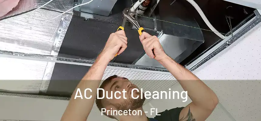  AC Duct Cleaning Princeton - FL