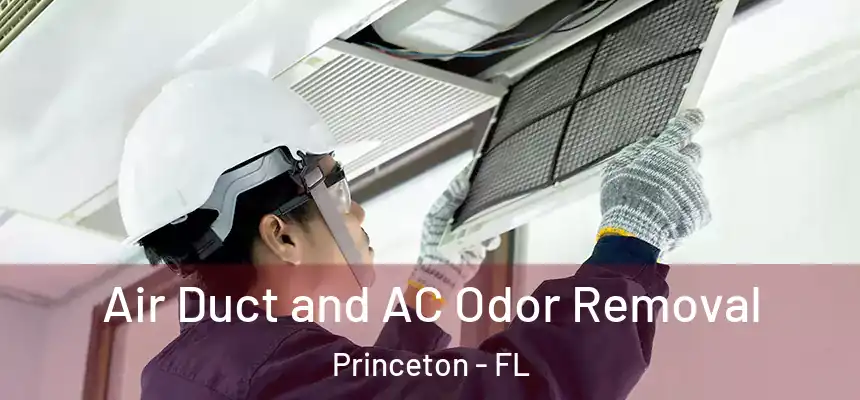  Air Duct and AC Odor Removal Princeton - FL