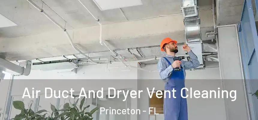  Air Duct And Dryer Vent Cleaning Princeton - FL