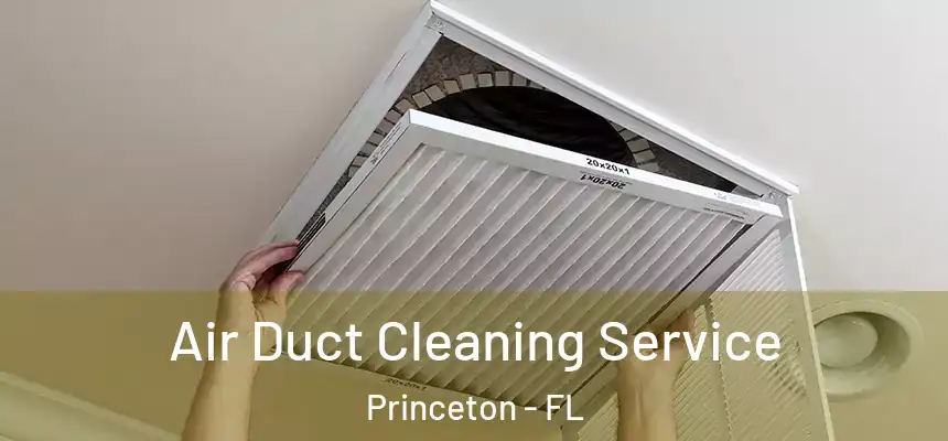  Air Duct Cleaning Service Princeton - FL