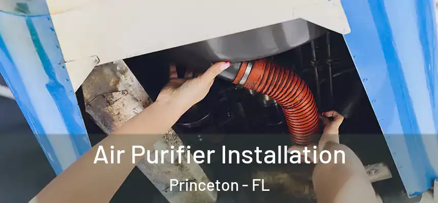  Air Purifier Installation Princeton - FL