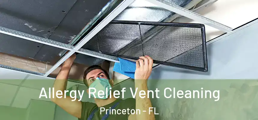  Allergy Relief Vent Cleaning Princeton - FL