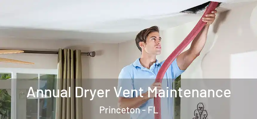  Annual Dryer Vent Maintenance Princeton - FL