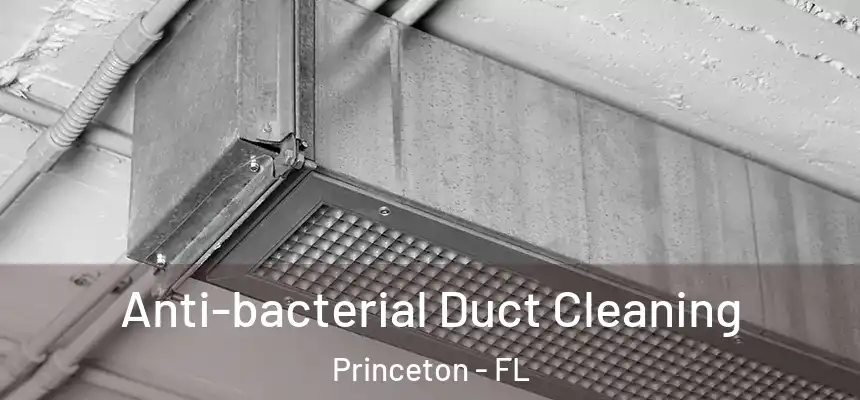  Anti-bacterial Duct Cleaning Princeton - FL