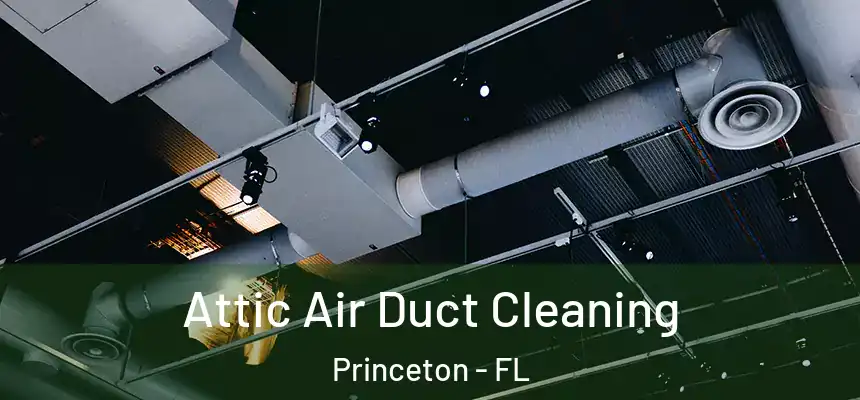 Attic Air Duct Cleaning Princeton - FL