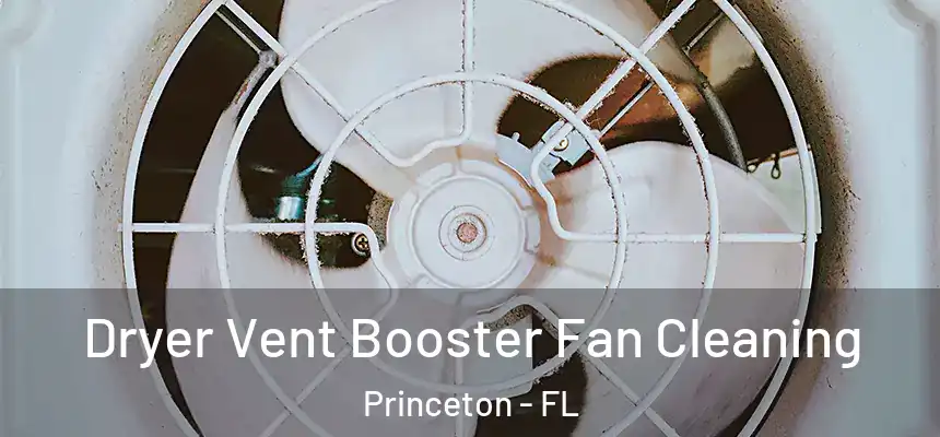  Dryer Vent Booster Fan Cleaning Princeton - FL
