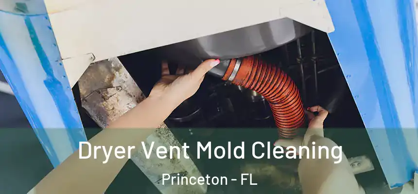  Dryer Vent Mold Cleaning Princeton - FL