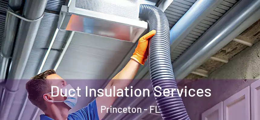  Duct Insulation Services Princeton - FL
