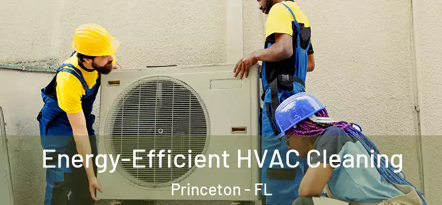  Energy-Efficient HVAC Cleaning Princeton - FL