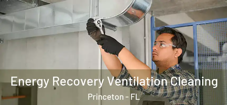  Energy Recovery Ventilation Cleaning Princeton - FL