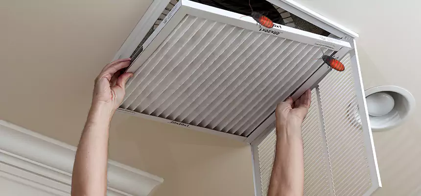 Preventive Cockroach-Proofing for Ducts in Princeton