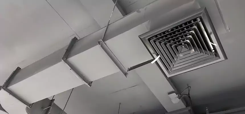 Restorative Allergy Relief Vent Cleaning – Coil, Blower & Housing Detail in Princeton