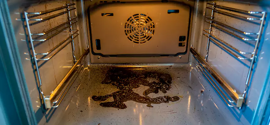 Our Dryer Vent Mold Cleaning Services in Princeton, FL