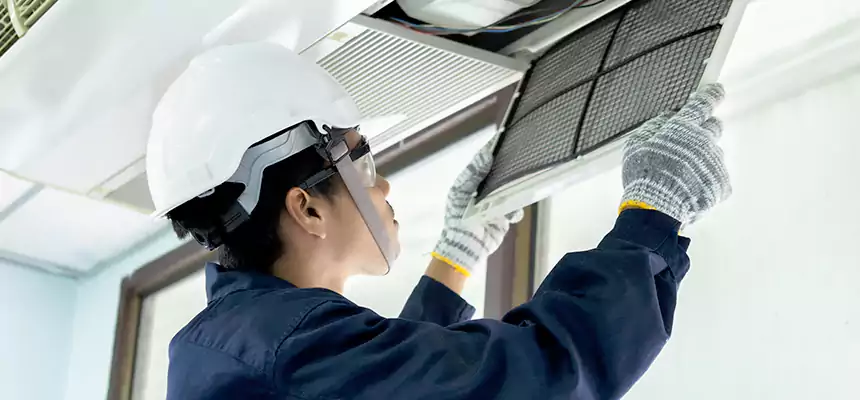 Our Mold & Mildew Removal from Air Ducts Services in Princeton, FL