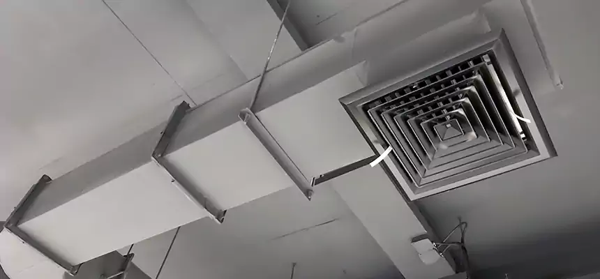 Our Pest Removal From Ducts Services in Princeton, FL