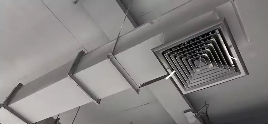 Our Rodent Droppings In Vents Services in Princeton, FL