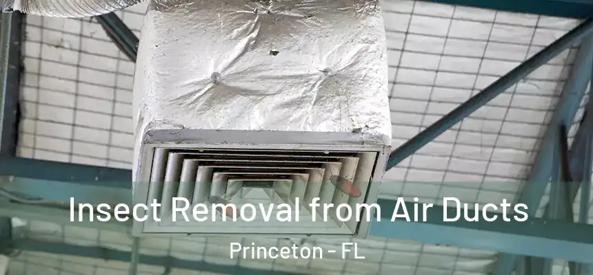  Insect Removal from Air Ducts Princeton - FL