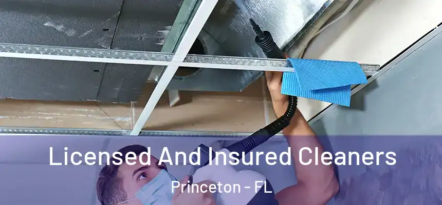  Licensed And Insured Cleaners Princeton - FL