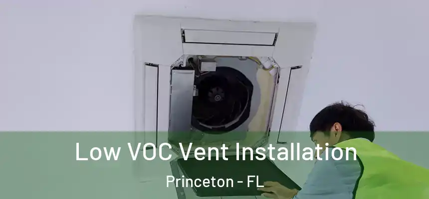  Low VOC Vent Installation Princeton - FL