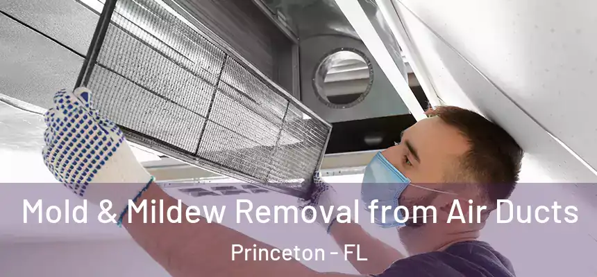  Mold & Mildew Removal from Air Ducts Princeton - FL