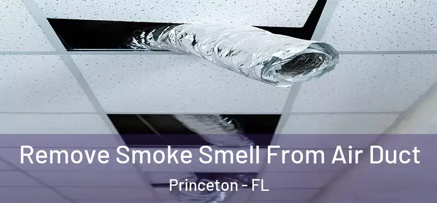  Remove Smoke Smell From Air Duct Princeton - FL