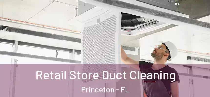  Retail Store Duct Cleaning Princeton - FL