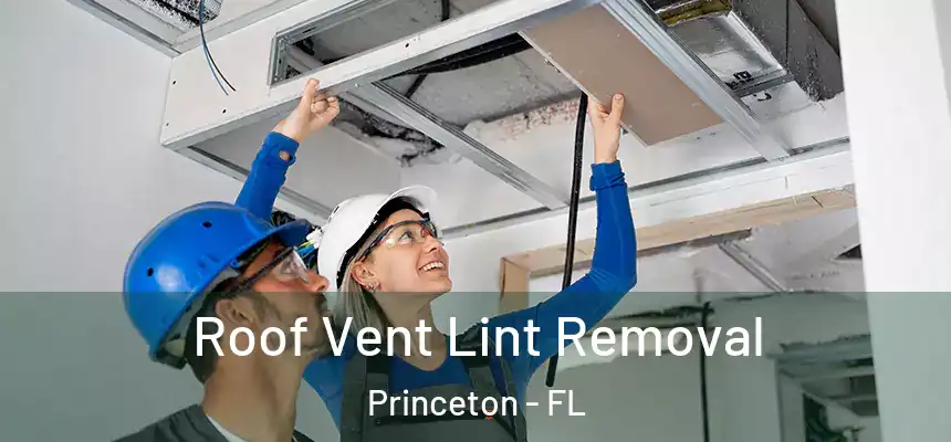  Roof Vent Lint Removal Princeton - FL