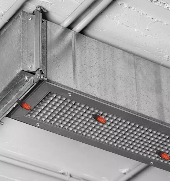 About Air Duct Cockroach Removal in Princeton, FL
