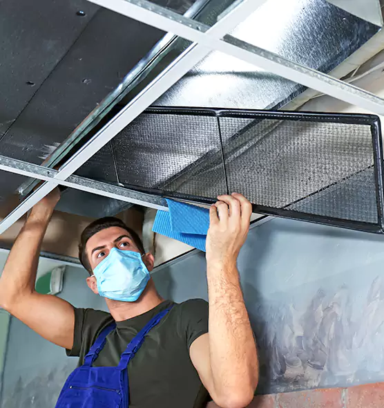 Professional Air Duct Pollen Cleaning in Princeton, FL