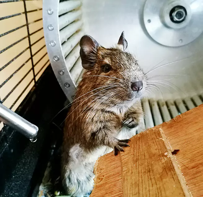 Why Homeowners & Businesses Trust Us Princeton, FL?