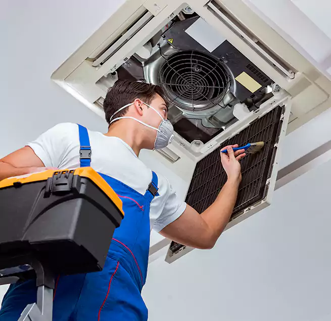 Why Homeowners & Businesses Trust Us in Princeton, FL