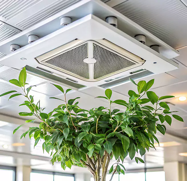 Why Homeowners & Businesses Trust Us in Princeton, FL?