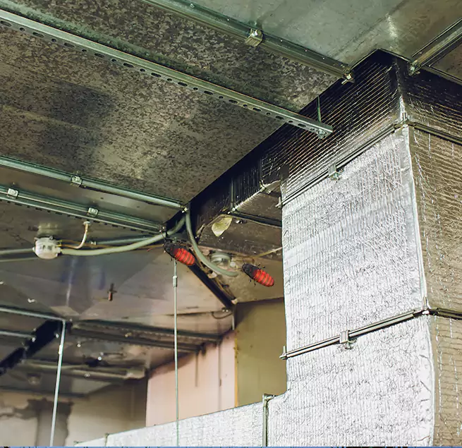 Why Homeowners & Businesses Trust Us Princeton, FL?