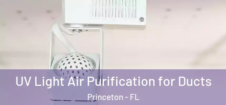  UV Light Air Purification for Ducts Princeton - FL