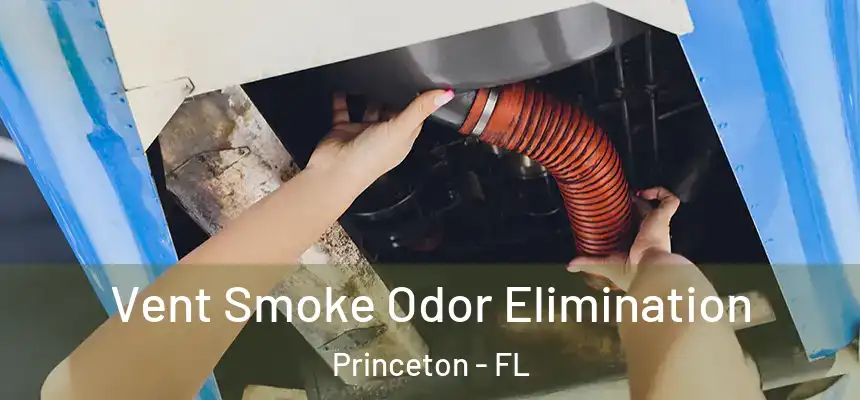  Vent Smoke Odor Elimination Princeton - FL