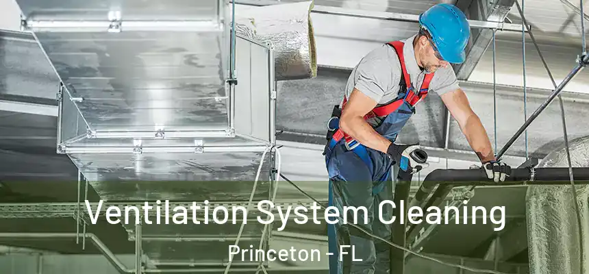  Ventilation System Cleaning Princeton - FL