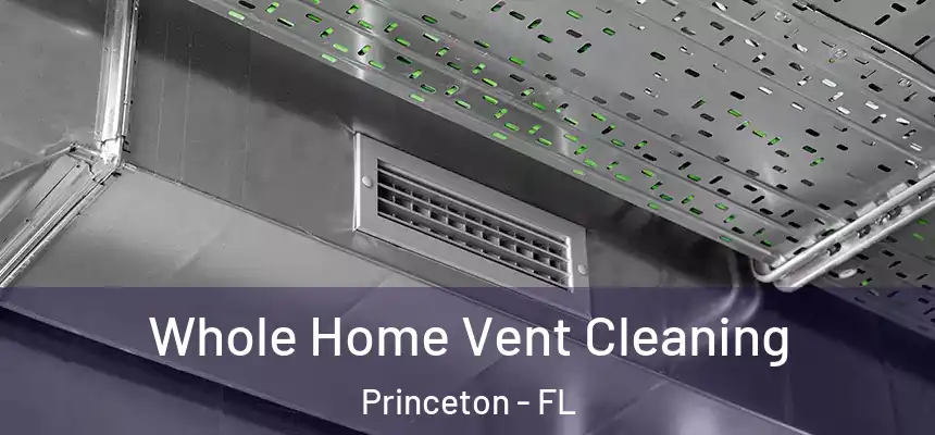  Whole Home Vent Cleaning Princeton - FL
