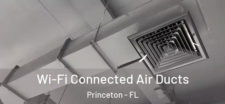  Wi-Fi Connected Air Ducts Princeton - FL